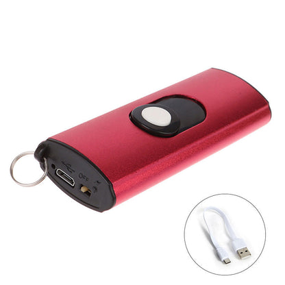 1602 Mini UsB Tactical Flashlight Stun Gun Keychain
